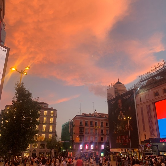 Meet your Posher, Elle - Picture 3 of 4